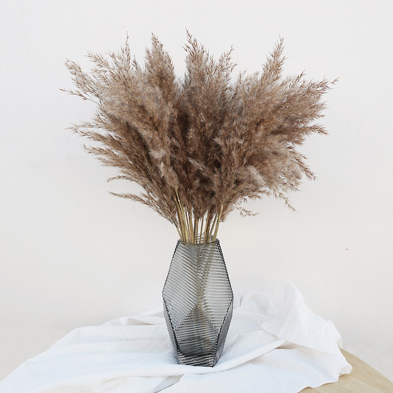 Pampas Grass Decor - 10 Piezas de Cañas Naturales Coloridas,