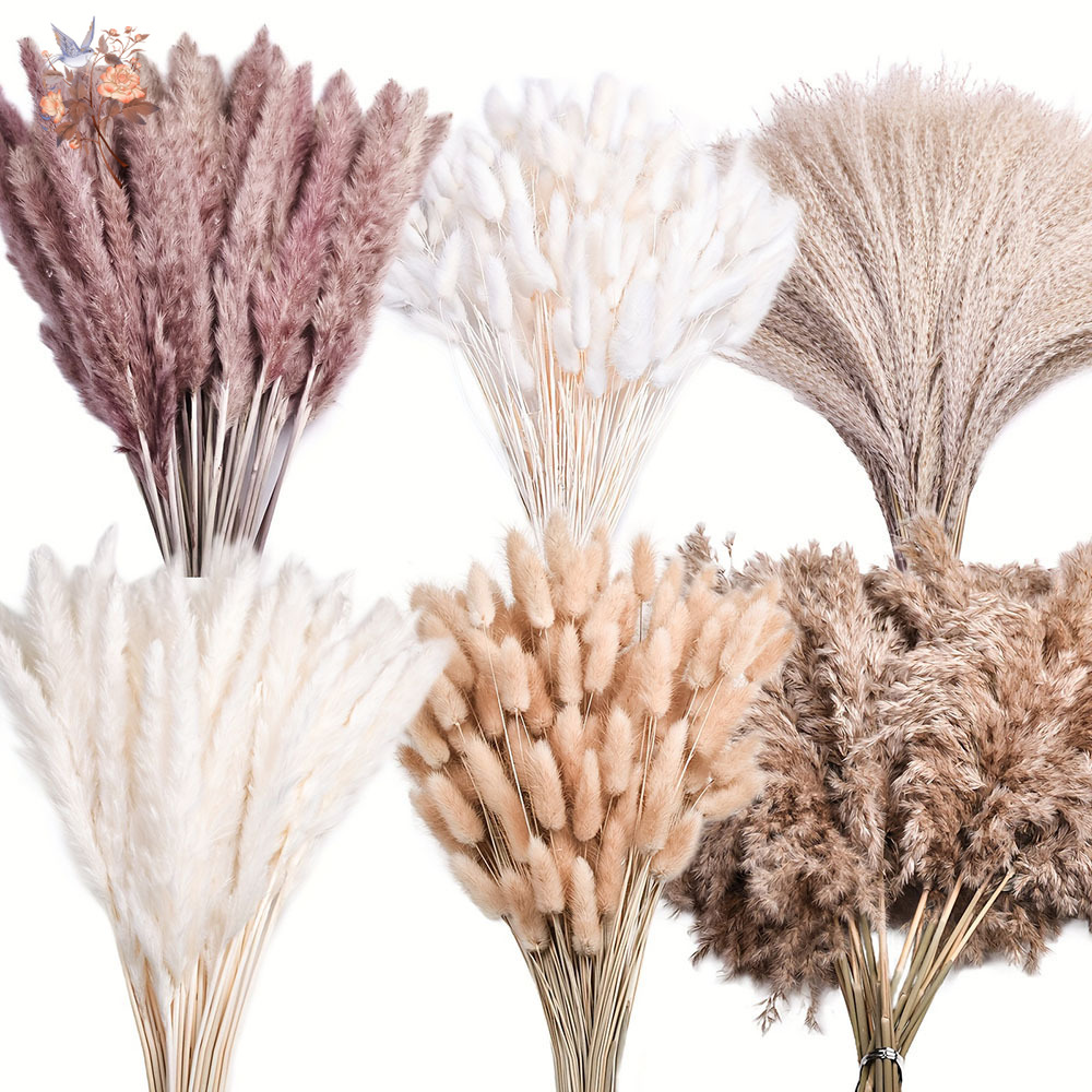 320 Piezas de Flores Secas Mix - Pampas Grass Decor reseña y precio