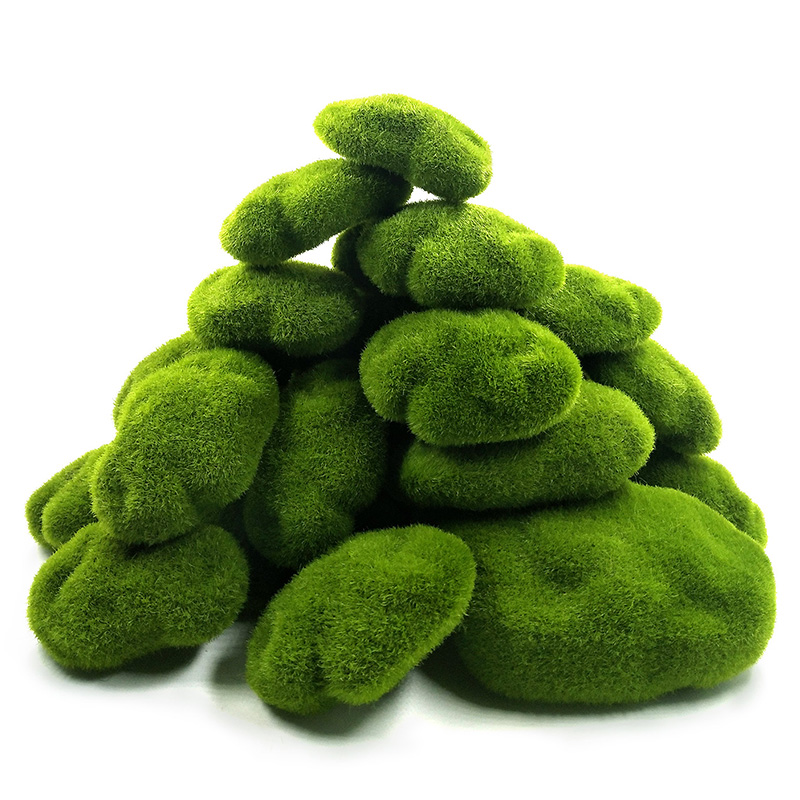 Plantas de musgo de espuma de  - Home Decor Za reseña y precio