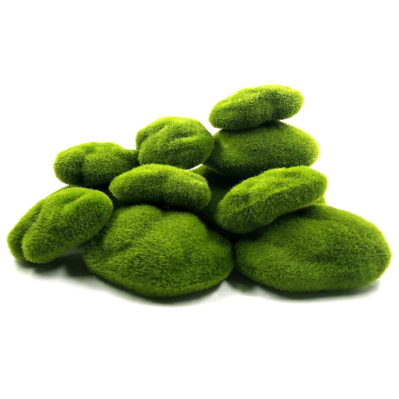 Plantas de musgo de espuma de  - Home Decor Za reseña y precio