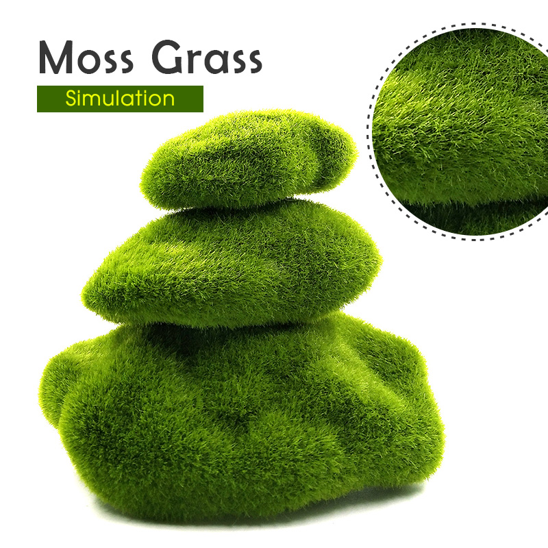 Plantas de musgo de espuma de  - Home Decor Za reseña y precio