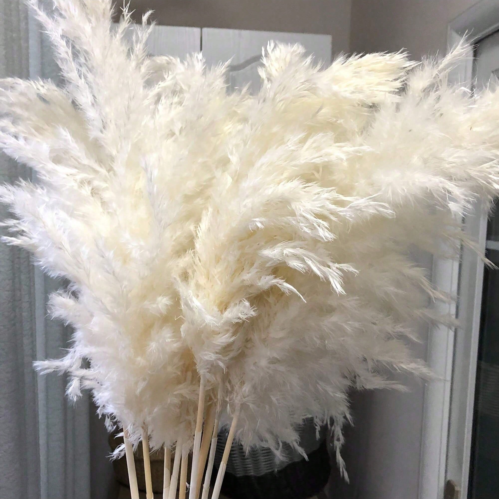 10/20/30 piezas de hierba de p - Pampas Grass Decor reseña y precio