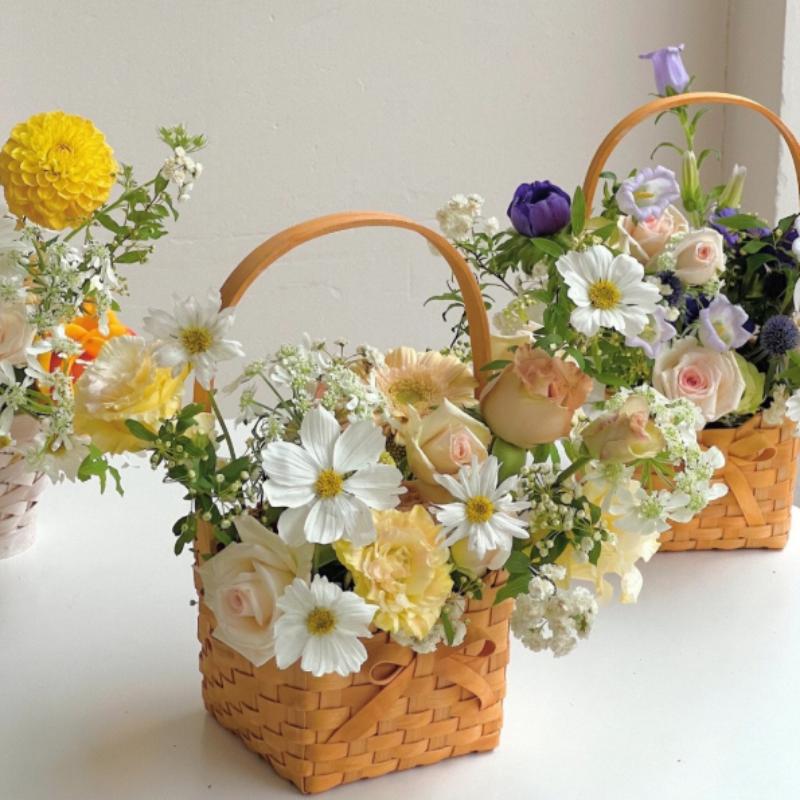 Nueva Cesta de Mimbre de Ratán - Rattan Plant Basket reseña y precio